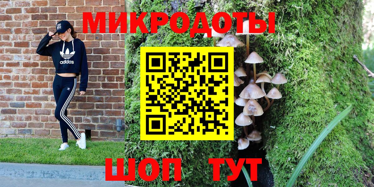 Псилоцибиновые грибы мицелий Среднеуральск