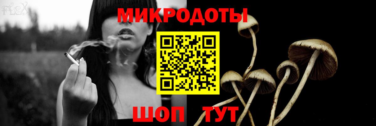 Среднеуральск  Галлюциногенные грибы Magic Shrooms  сколько стоит  Псилоцибиновые грибы GOLDEN TEACHER  Вход с VPN 